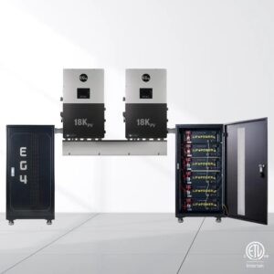 CAB-LIFEPOWER4